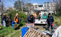 Bornova’nın can dostlarına yeni yuva: Kedili Park artık daha güvenli!