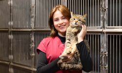 Buca’nın iyilik karnesi! İki yılda 599 sahiplendirme