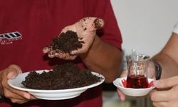 Çayı demleyip posasını atanlar dikkat: Çöp değil hazineymiş