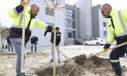 Cemevlerinde modernizasyon rüzgarı: Çiğli Belediyesi eksikleri giderdi