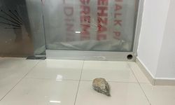 CHP İlçe binasına taşlı saldırı!