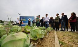 CHP’li Solakoğlu’ndan Efes Selçuk’ta tarım ve üretim incelemesi