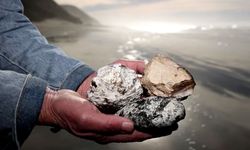 Deniz kıyısına vuruyor, parfüm devleri peşinde koşuyor: Milyon dolarlık atık