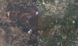 Doğal güzellikleriyle öne çıkan Bergama’da tarlalar icradan satışta