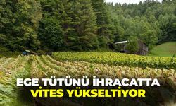 Ege tütünü vites yükseltiyor: Başkan Jimi'den ihracatta dev hedef!