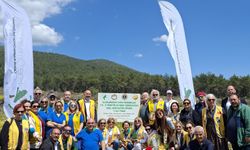 “Yeşil Adım” projesiyle binlerce fidan toprakla buluştu!