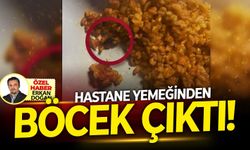 Hastane yemeğinden böcek çıktı!