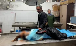 İsrail 9 yaşındaki çocuğu öldürdü!