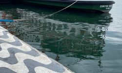 İzmir Körfezi’nde kirlilik derinleşti! Mavi deniz yerini yeşil tabakaya bıraktı!