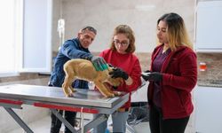 İzmir’de bir ilk! Gece gündüz demeden "Can" kurtaran tek ilçe!