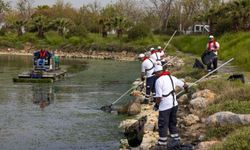 İzmir'de Çakalburnu Lagünü’nden Körfez'e akan deniz marullarına erken müdahale!