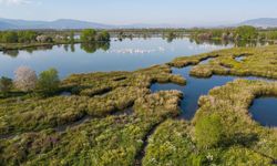 İzmir’de hem spor hem huzur rotası: 2 milyon metrekarelik doğa alanı dikkat çekiyor