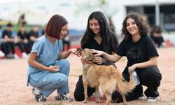 İzmir’de iki yılda 33 bin hayvana şifa, binlerce cana yeni yuva