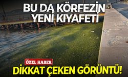 İzmir'de Körfez'de sahil kıyısındaki görüntü dikkat çekti! Vatandaş isyan etti