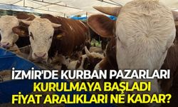 İzmir'de Kurban Bayramına sayılı günler kala pazarlar kuruldu! Kurban fiyatları ne kadar?