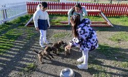 İzmir’de mucizevi dokunuş: "Patili dostumuz" engelli çocukların dünyasını değiştiriyor!