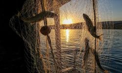 İzmirli balıkçılar dikkat! Ege kıyılarında av yasağı takvimi ve yasaklı türler belli oldu