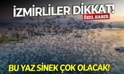 İzmirliler dikkat: Bu yaz sinek çok olacak!