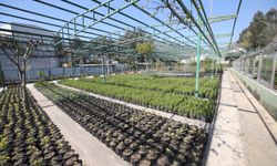 Karşıyaka’nın çiçekleri artık kendi bahçesinden!