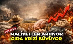 Yasaklar maliyeti düşürmedi: Fiyatlar artıyor, kriz büyüyor!