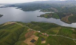 İzmir’in tarımına "can", balıkçıya "kazanç": Demirköprü tam dolulukta!