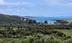 Mordoğan’da imar planlarına tepki: “Doğal ve tarihi alanlar tehdit altında”