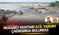 Muhtardan Menemen Belediyesi ve DSİ'yi çağrı ! Acil yardım edin...