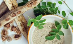 Musluktan şifa akacak: Tek tohumla 10 litre su arınıyor!