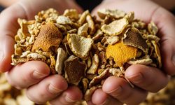 Mutfakta çöpe gidiyordu, şimdi ihracat ürünü oldu: Kilosu 650 liraya kadar çıkıyor