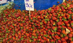 Pazarda sessiz kriz! Vatandaş daha az alıyor!