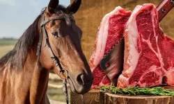 İzmir'de hangi dönerciden at eti çıktı? İzmirli meşhur dönercide skandal