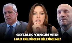 Ortalık yangın yeri! Şamil Tayyar'ın Cevdet Akçay'a ayarına gazeteci Bahar Feyzan'dan kontra ayar geldi
