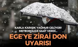 Ege'ye zirai don uyarısı! Meteoroloji saat verdi... 3 bölgede karla karışık yağmur alarmı!