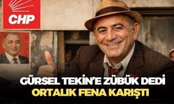 Gazeteci Timur Soykan: Zübük dediğinizde artık o portrelerden bir tanesi de kesinlikle Gürsel Tekin!