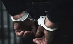 33 kedinin ölümünde flaş gelişme: Serbest bırakılan veteriner hekim tutuklandı!