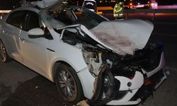 At, otomobile çarptı! Kendi telef oldu, 7 kişiyi yaraladı