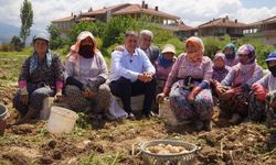 Başkan Tugay tarlada sözü verdi: Kiraz’ın dört bir yanında yol çalışması başlıyor