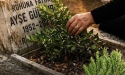 Bayramda Bayındır’da mersin yoğunluğu