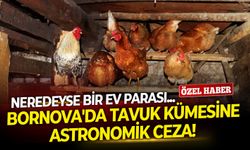 Bornova'da tavuk kümesine astronomik ceza!