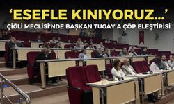Çiğli Meclisi'nde Başkan Tugay'a çöp eleştirisi: Esefle kınıyoruz!