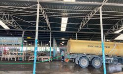 Çiğli'de temizlik bayramda da durmadı! Ekipler 7/24 sahada