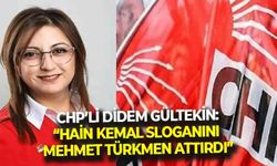Didem Gültekin’den, Mehmet Türkmen’e ağır suçlama: “Hain Kemal sloganının arkasında o var!”