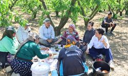 Efes Selçuk'ta Başkan Sengel'den 14 Mayıs Dünya Çiftçiler Günü mesaisi: Hasada katıldı