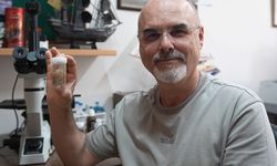 Ege Üniversitesi'nden Prof. Dr. Murat Özbek ve ekibi literatüre 4 yeni tür kazandırdı
