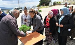 Bornova’da yerel üreticiye tam destek ! 150 bin sebze fidesi can suyu oldu