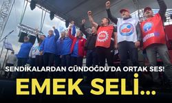 Gündoğdu’da emek seli! Sendikalardan ortak ses!