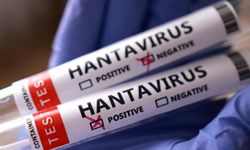 ABD’de Hantavirüs paniği! New Jersey’de 2 kişi gözetim altına alındı