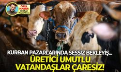 Kurban pazarlarında sessiz bekleyiş: Üretici umutlu, vatandaş çaresiz!