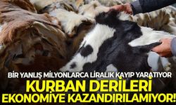 Bir yanlış milyonlarca liralık kayıp yaratıyor: Kurban derileri ekonomiye kazandırılamıyor!