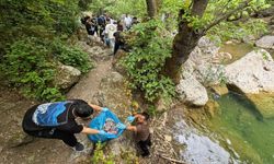 İzmir'de itfaiye ekipleri doğa için sahaya indi!